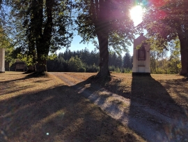 podzim16-3